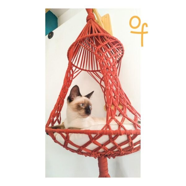 Balangato Queen Natural - Imagem 6