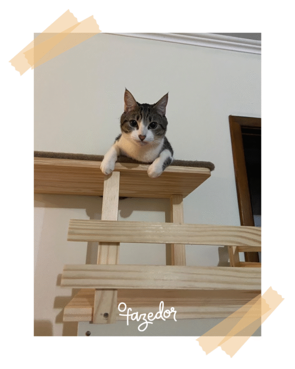Torre Gato Radical Duplex Natural - Imagem 9