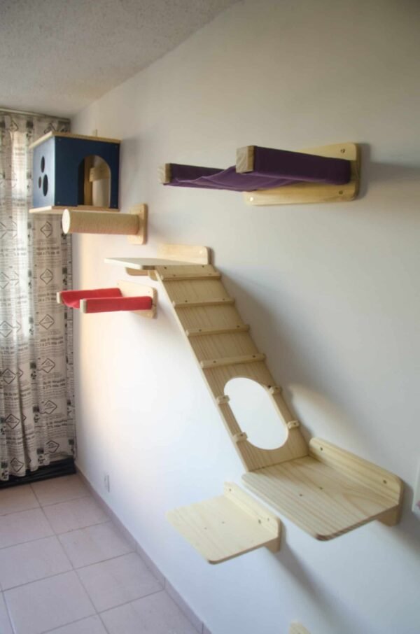 Rampa Com Passagem Natural - Imagem 3