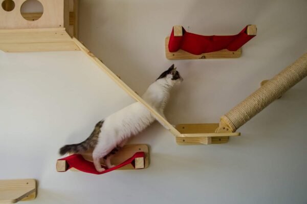 Rampa Com Passagem Natural - Imagem 2