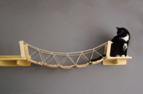Ponte Aventura Natural - Imagem 3