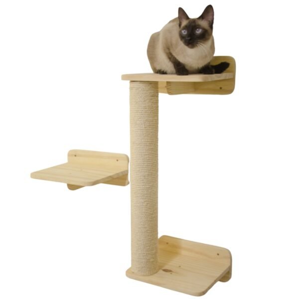 Kit Gato Arteiro Natural