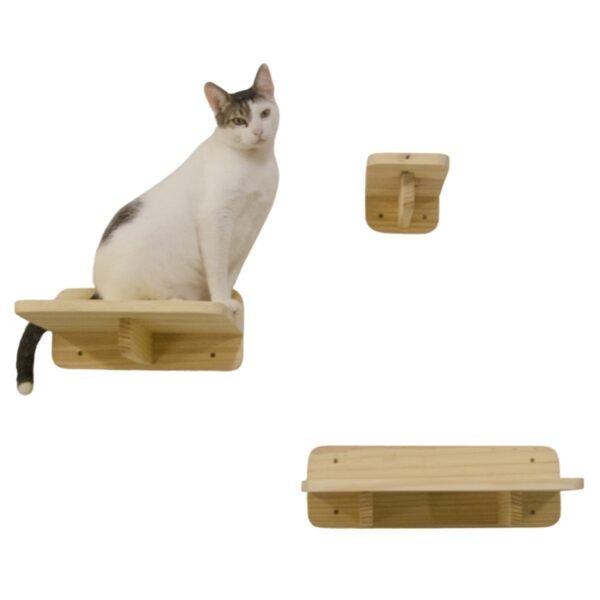 Kit Gato Comportado Natural