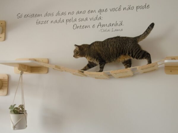 Ponte Radical Natural - Imagem 2