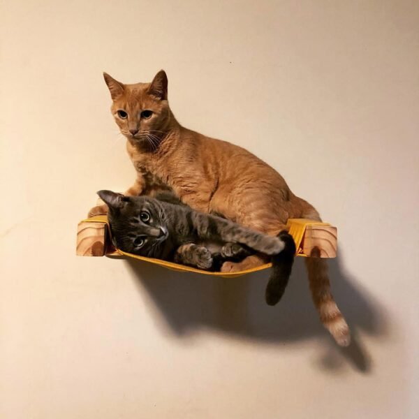 Kit Meu Humano Me Ama Tradicional Natural - Imagem 7