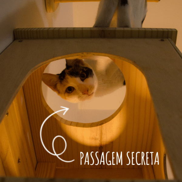 Casinha Tradicional Natural - Imagem 14