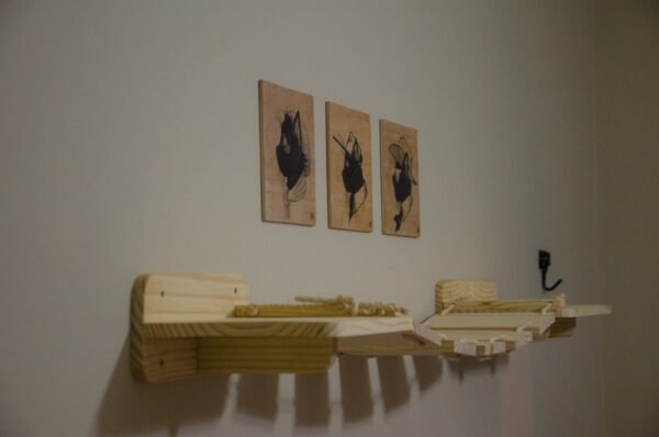 Ponte Radical Natural - Imagem 6