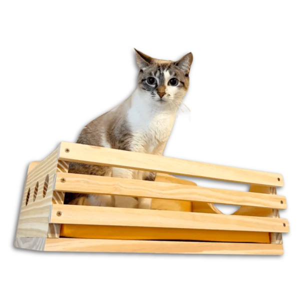 Casinha de madeira para gatos com almofada macia.