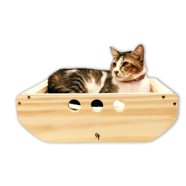 Gaveta de madeira natural para gatos com furos de ventilação e um gato dentro.