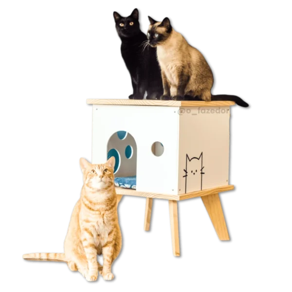Gato preto e siamês em cima de uma casinha branca com pé e gato laranja sentado ao lado.