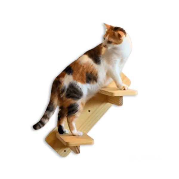 Gatilho de parede em madeira para gatos, permitindo que eles subam e desçam com segurança.