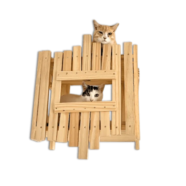 Estruturas de madeira para gatos, com dois gatos brincando em diferentes níveis.