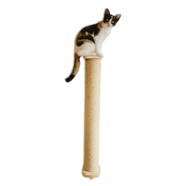 Poste arranhador para gatos com gato em cima.