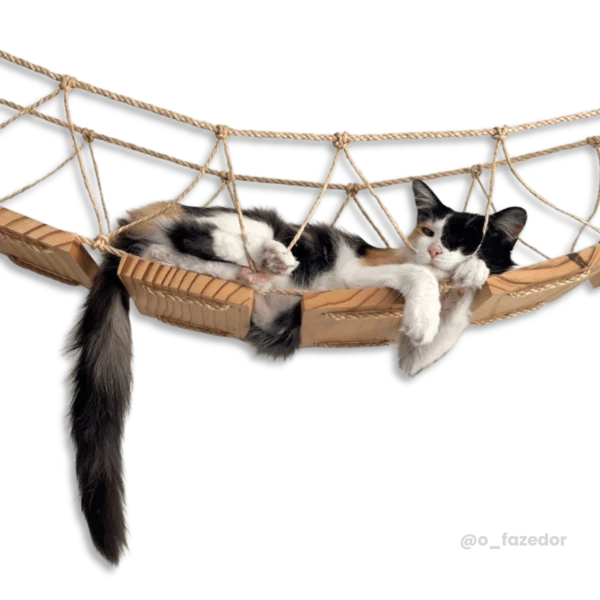 Gato descansando em uma rede suspensa de madeira.