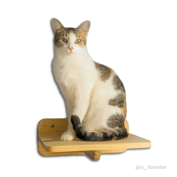 Prateleira de madeira para gatos com um gato sentado em cima.