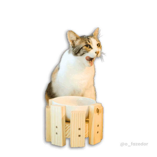 Gato sentado ao lado de um comedouro de madeira com uma tigela branca.