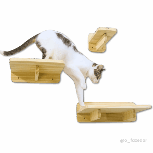 Conjunto de prateleiras de madeira natural para gatos, com um gato em cima.