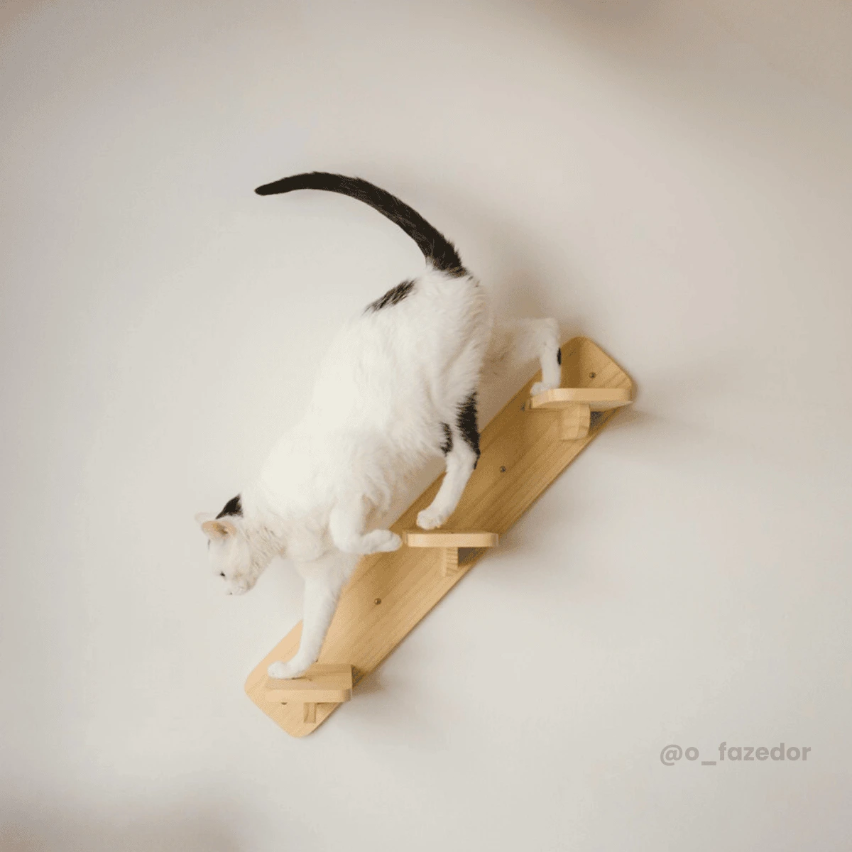 Gato branco subindo em prateleira de madeira para gatos da O Fazedor.