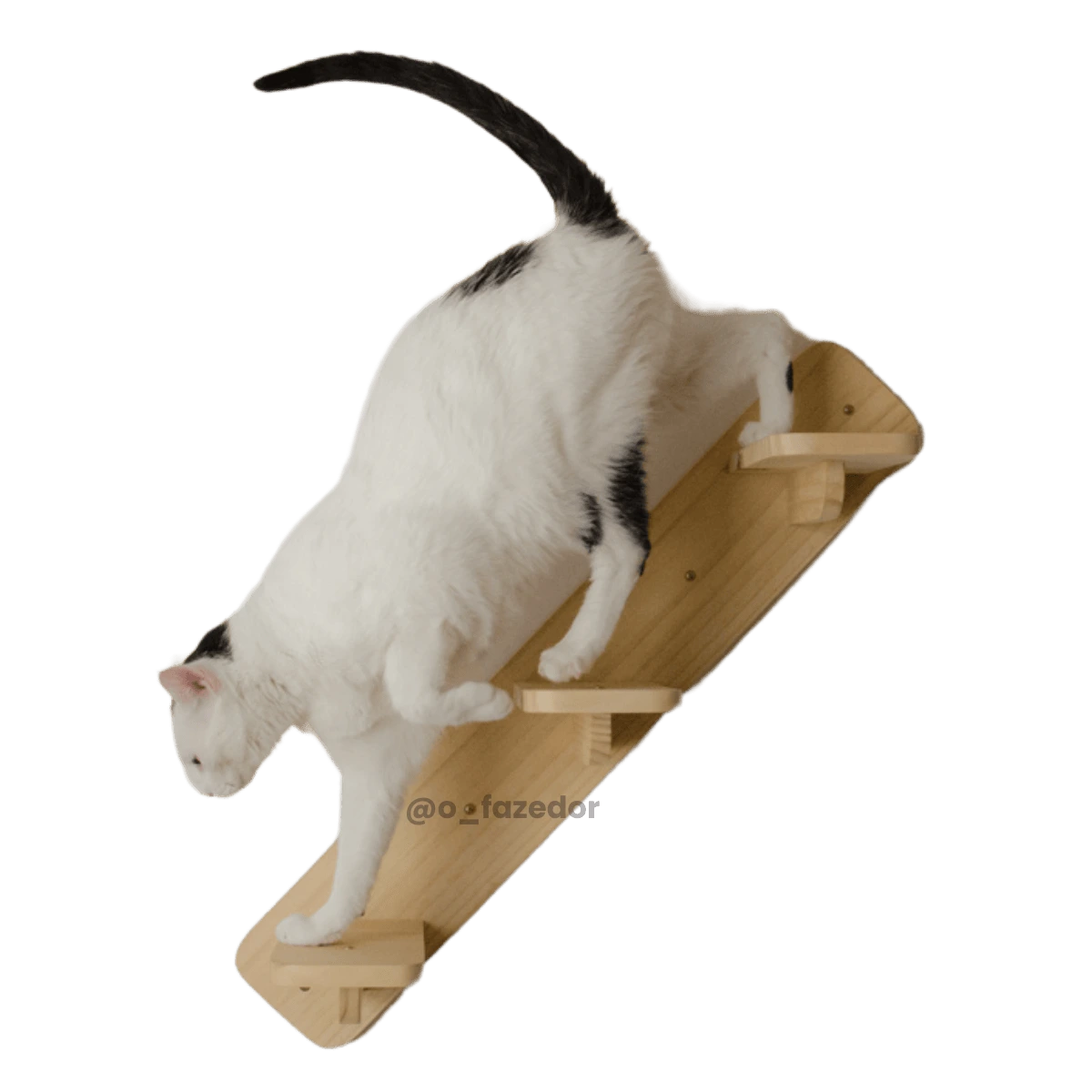 Gato subindo em uma escada de madeira da O Fazedor.