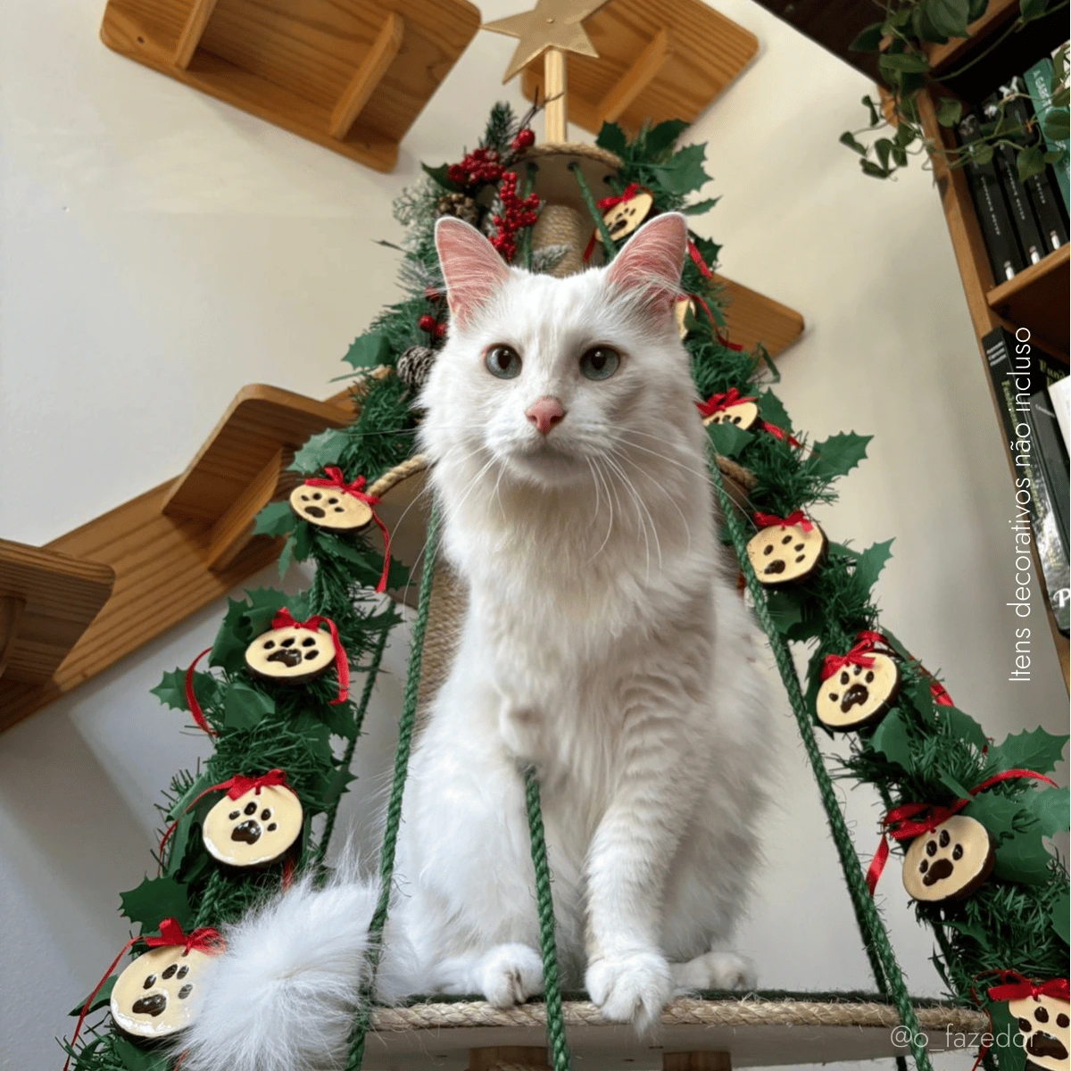 Árvore de gato decorada com enfeites natalinos e um gato branco sentado.